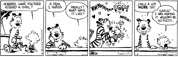 Calvin 298.gif